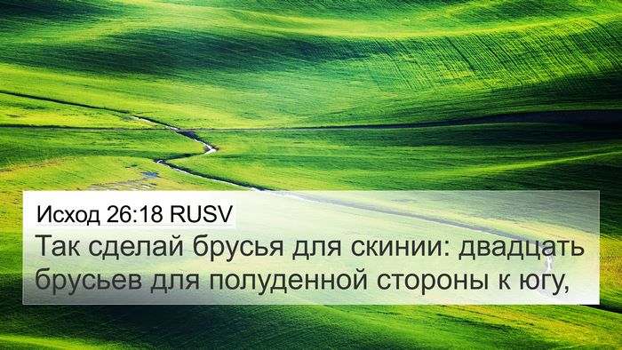 Исход 26:18 RUSV Bible Verse Image