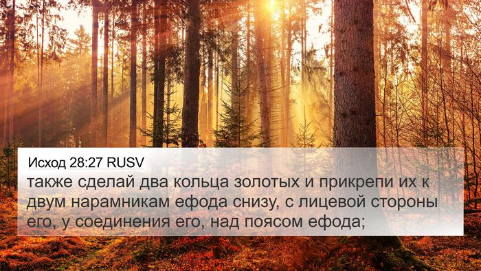Исход 28:27 RUSV Bible Verse Image