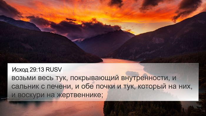 Исход 29:13 RUSV Bible Verse Image