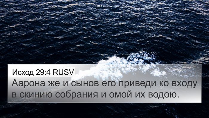 Исход 29:4 RUSV Bible Verse Image