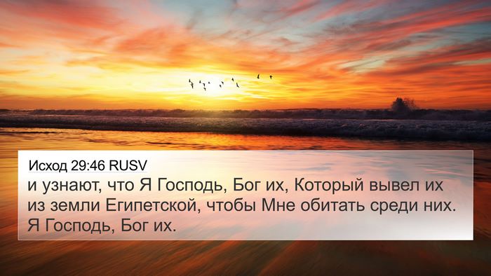 Исход 29:46 RUSV Bible Verse Image
