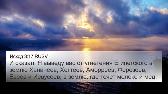Исход 3:17 RUSV Bible Verse Image