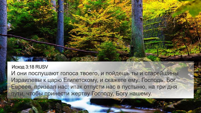 Исход 3:18 RUSV Bible Verse Image