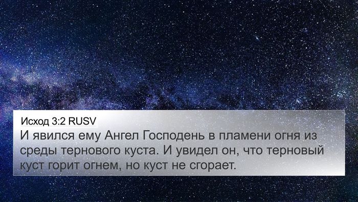Исход 3:2 RUSV Bible Verse Image