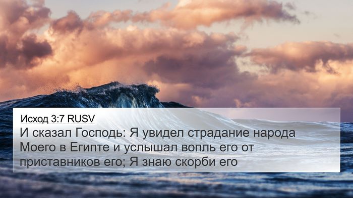 Исход 3:7 RUSV Bible Verse Image