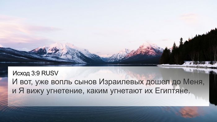 Исход 3:9 RUSV Bible Verse Image