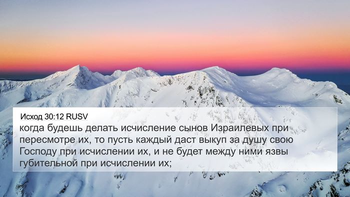 Исход 30:12 RUSV Bible Verse Image