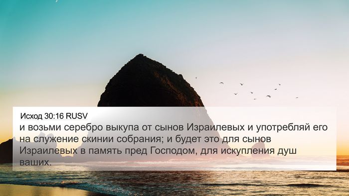 Исход 30:16 RUSV Bible Verse Image