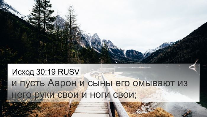 Исход 30:19 RUSV Bible Verse Image