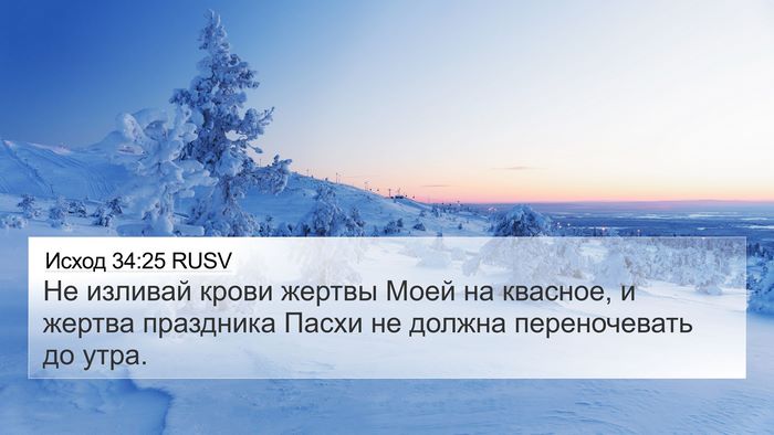 Исход 34:25 RUSV Bible Verse Image