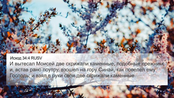 Исход 34:4 RUSV Bible Verse Image