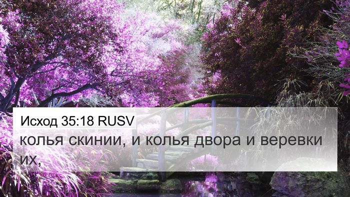 Исход 35:18 RUSV Bible Verse Image
