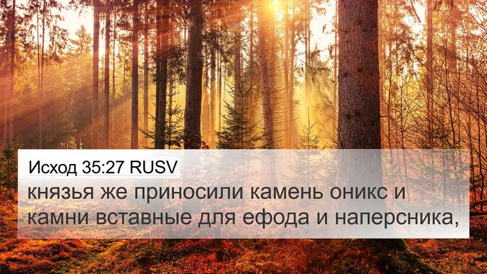 Исход 35:27 RUSV Bible Verse Image