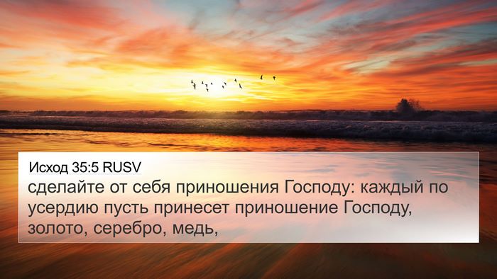 Исход 35:5 RUSV Bible Verse Image