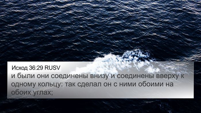 Исход 36:29 RUSV Bible Verse Image