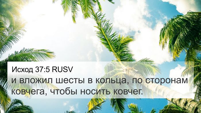 Исход 37:5 RUSV 4K Wallpaper - и вложил шесты в кольца, по - 4K Wallpaper Bible Verse