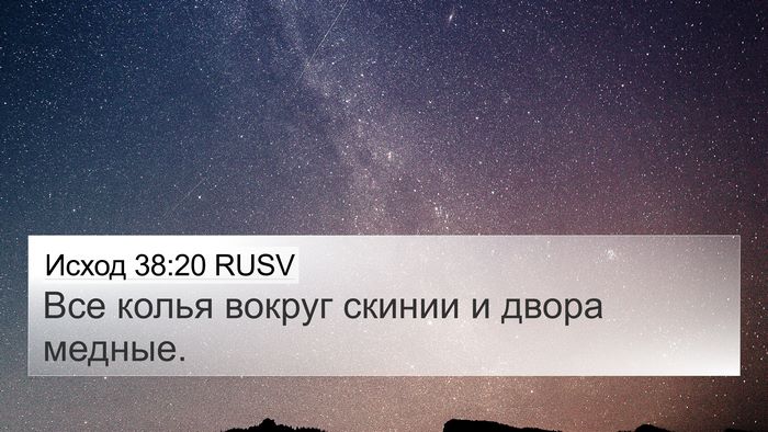 Исход 38:20 RUSV Bible Verse Image
