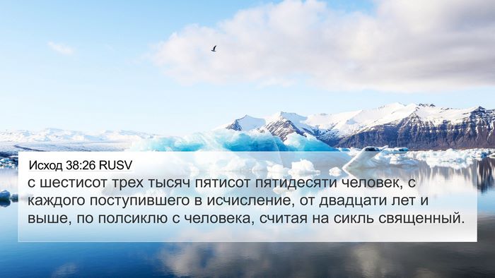 Исход 38:26 RUSV Bible Verse Image