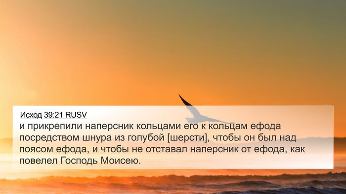 Исход 39:21 RUSV Bible Verse Image