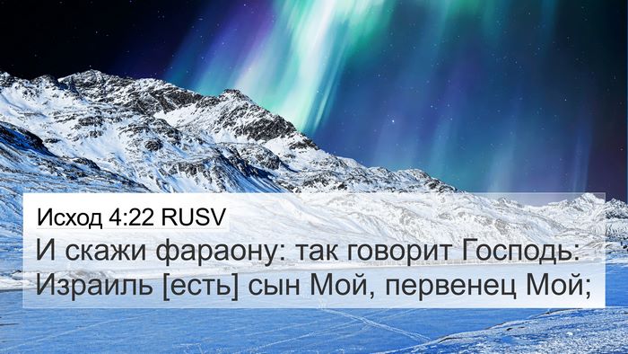 Исход 4:22 RUSV Bible Verse Image