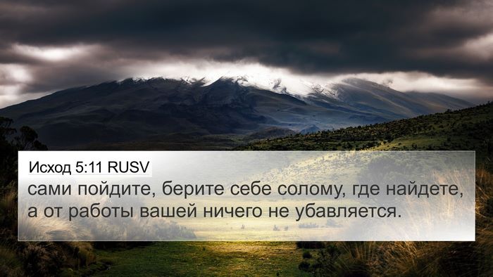 Исход 5:11 RUSV 4K Wallpaper - сами пойдите, берите себе - 4K Wallpaper Bible Verse