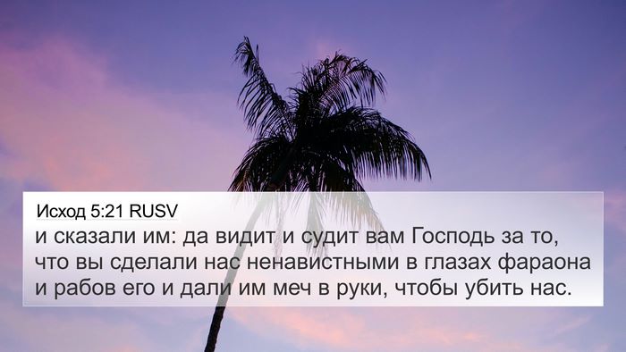 Исход 5:21 RUSV Bible Verse Image
