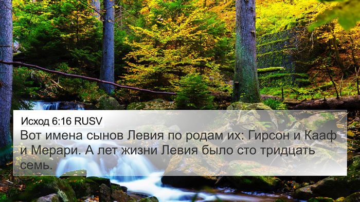 Исход 6:16 RUSV Bible Verse Image