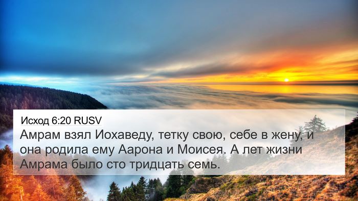 Исход 6:20 RUSV Bible Verse Image