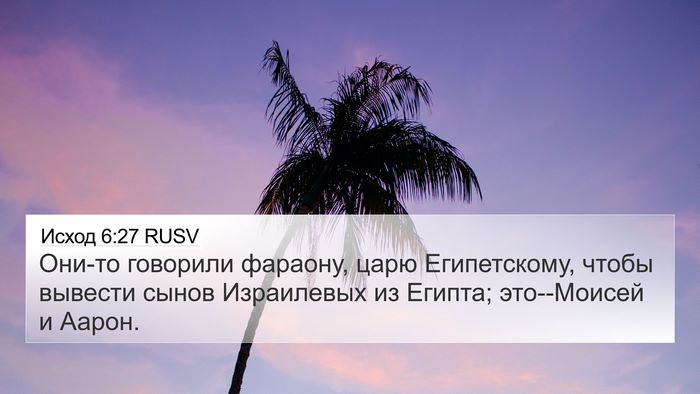 Исход 6:27 RUSV 4K Wallpaper - Они-то говорили фараону, - 4K Wallpaper Bible Verse