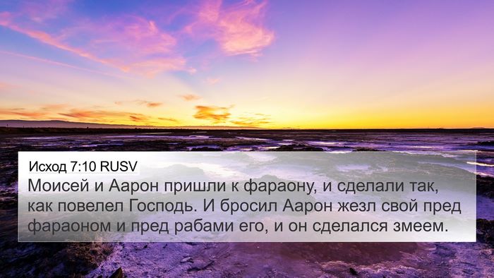 Исход 7:10 RUSV Bible Verse Image