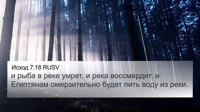 Исход 7:18 RUSV Bible Verse Image