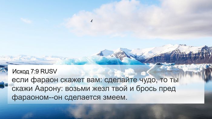 Исход 7:9 RUSV Bible Verse Image