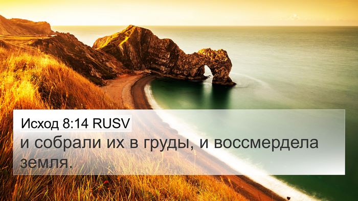 Исход 8:14 RUSV 4K Wallpaper - и собрали их в груды, и - 4K Wallpaper Bible Verse