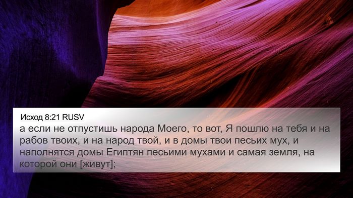 Исход 8:21 RUSV Bible Verse Image