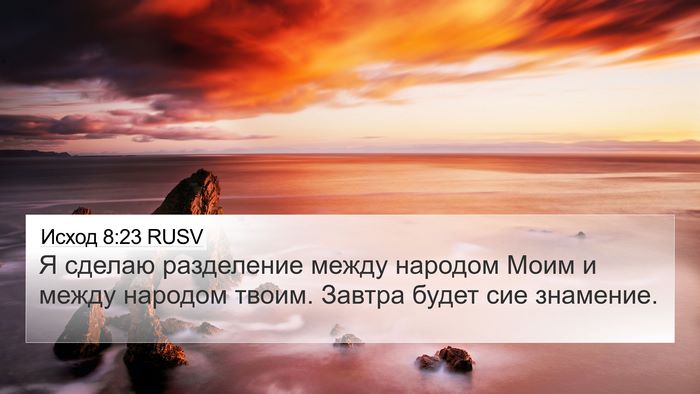 Исход 8:23 RUSV Bible Verse Image
