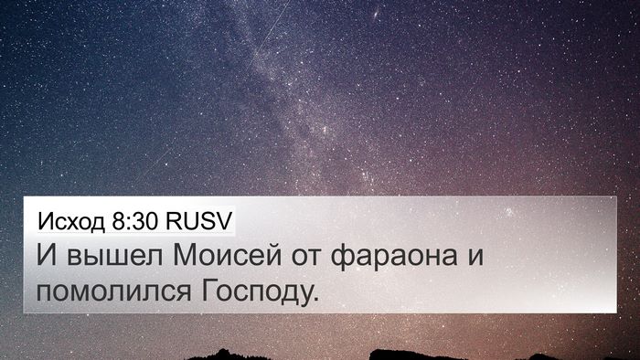 Исход 8:30 RUSV 4K Wallpaper - И вышел Моисей от фараона и - 4K Wallpaper Bible Verse