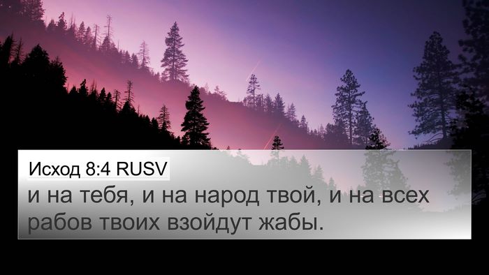Исход 8:4 RUSV 4K Wallpaper - и на тебя, и на народ твой, и - 4K Wallpaper Bible Verse
