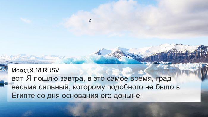 Исход 9:18 RUSV Bible Verse Image