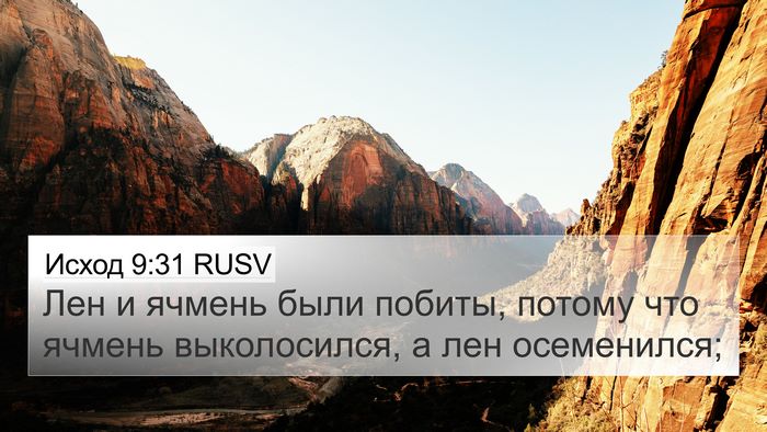 Исход 9:31 RUSV 4K Wallpaper - Лен и ячмень были побиты, - 4K Wallpaper Bible Verse