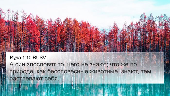 Иуда 1:10 RUSV Bible Verse Image