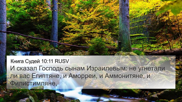 Книга Судей 10:11 RUSV Bible Verse Image