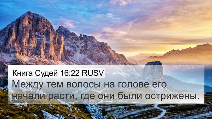 Книга Судей 16:22 RUSV Bible Verse Image