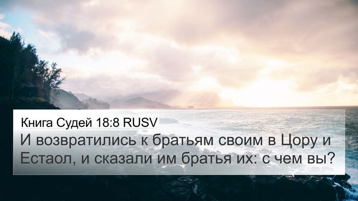 Книга Судей 18:8 RUSV Bible Verse Image