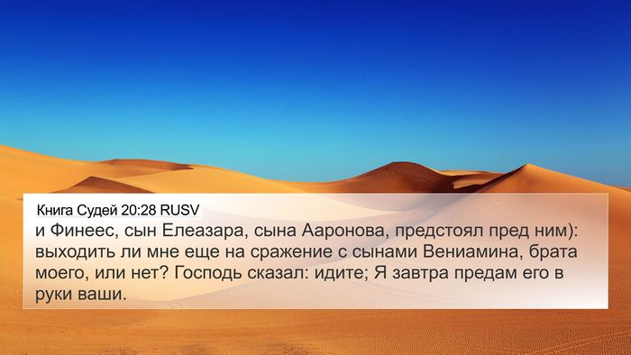 Книга Судей 20:28 RUSV Bible Verse Image