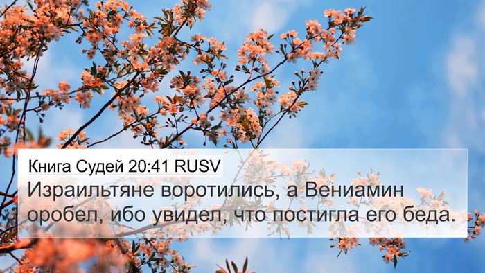 Книга Судей 20:41 RUSV Bible Verse Image