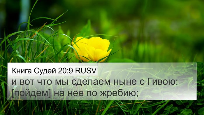 Книга Судей 20:9 RUSV Bible Verse Image