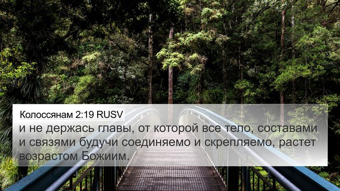 Колоссянам 2:19 RUSV Bible Verse Image