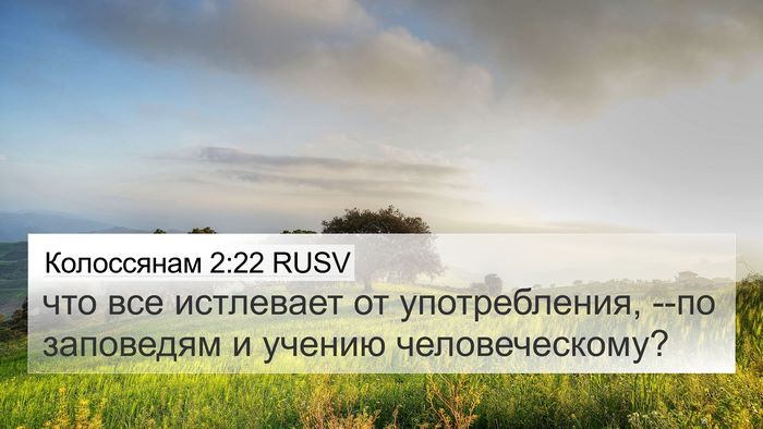 Колоссянам 2:22 RUSV Bible Verse Image