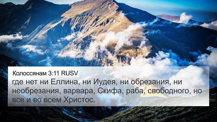 Колоссянам 3:11 RUSV Bible Verse Image