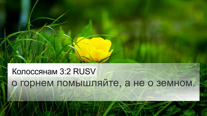 Колоссянам 3:2 RUSV Bible Verse Image